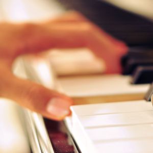 黄软件下载黄网站在线观看
