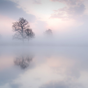 黄软件下载黄网站在线观看
