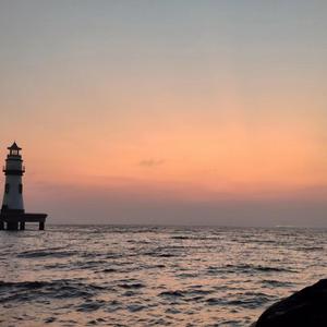 黄软件下载黄网站在线观看
